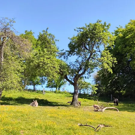 La Petite Maison Dans La Prairie *